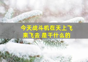 今天战斗机在天上飞来飞去 是干什么的